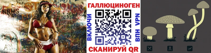 Галлюциногенные грибы Psilocybe  Невель 
