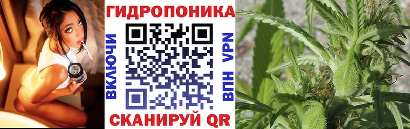 МАРИХУАНА сатива  Невель 